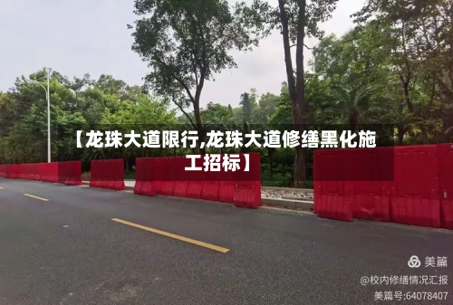 【龙珠大道限行,龙珠大道修缮黑化施工招标】