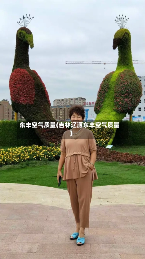 东丰空气质量(吉林辽源东丰空气质量)