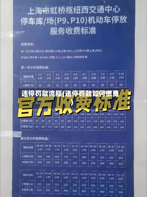 违停罚款流程(违停罚款如何缴费)