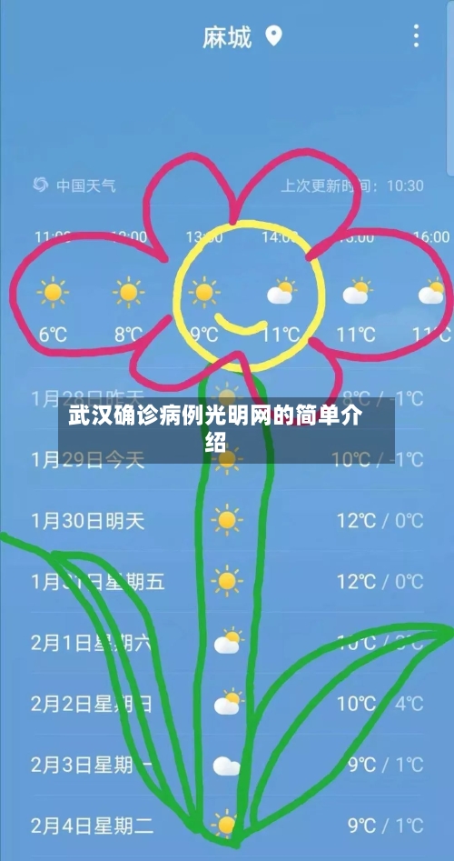 武汉确诊病例光明网的简单介绍