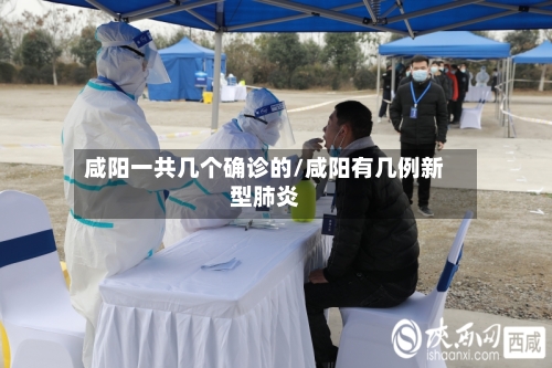 咸阳一共几个确诊的/咸阳有几例新型肺炎