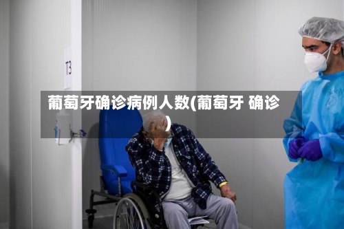葡萄牙确诊病例人数(葡萄牙 确诊)