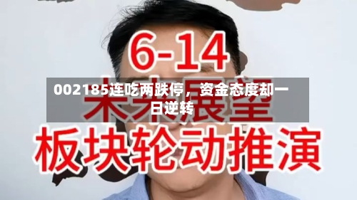 002185连吃两跌停，资金态度却一日逆转-第2张图片