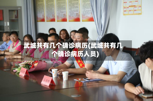 武城共有几个确诊病历(武城共有几个确诊病历人员)