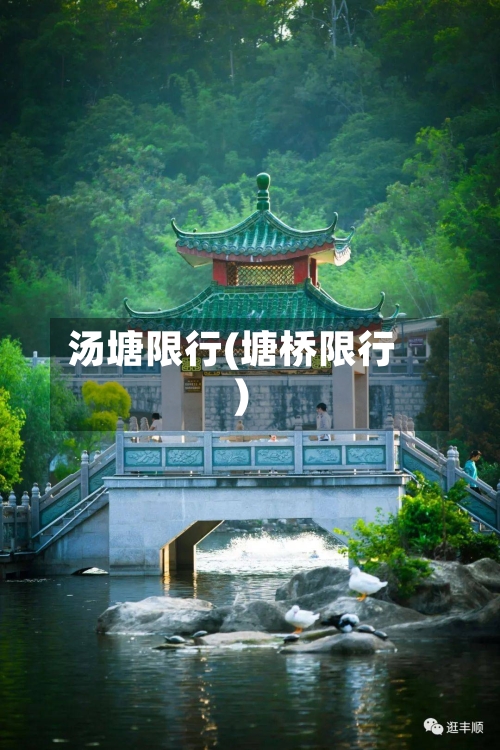 汤塘限行(塘桥限行)