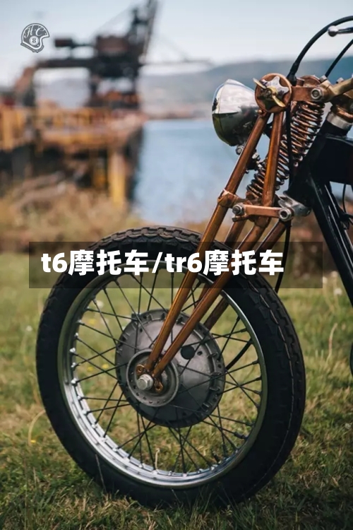 t6摩托车/tr6摩托车