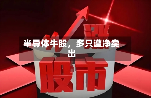半导体牛股，多只遭净卖出