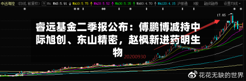 睿远基金二季报公布：傅鹏博减持中际旭创、东山精密	，赵枫新进药明生物-第2张图片