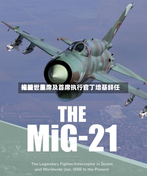 米格世界控股：主席及首席执行官丁培基辞任