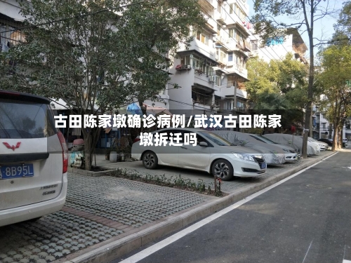 古田陈家墩确诊病例/武汉古田陈家墩拆迁吗-第2张图片