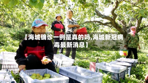 【海城确诊一例是真的吗,海城新冠病毒最新消息】
