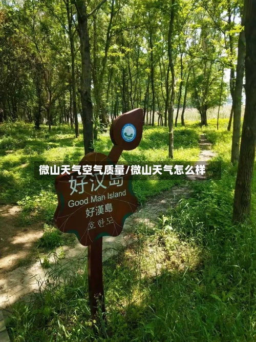 微山天气空气质量/微山天气怎么样-第3张图片