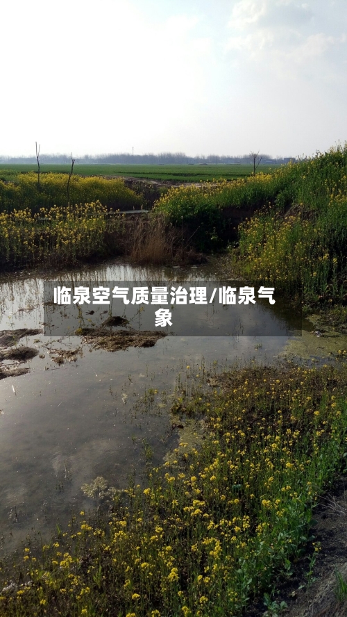 临泉空气质量治理/临泉气象
