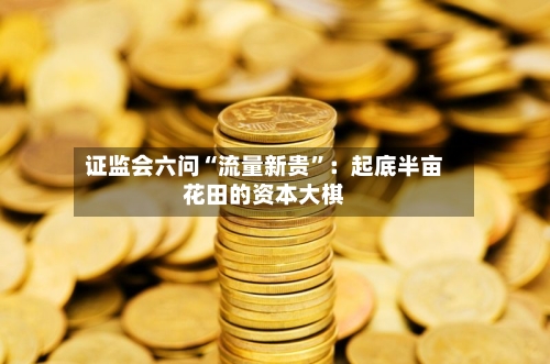证监会六问“流量新贵”：起底半亩花田的资本大棋-第2张图片