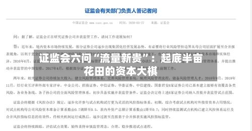 证监会六问“流量新贵”：起底半亩花田的资本大棋-第3张图片