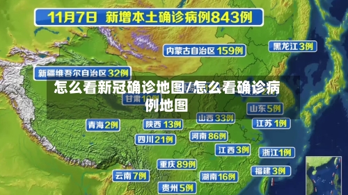 怎么看新冠确诊地图/怎么看确诊病例地图-第2张图片