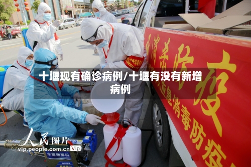 十堰现有确诊病例/十堰有没有新增病例