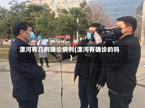 漯河有几例确诊病例(漯河有确诊的吗)