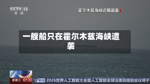 一艘船只在霍尔木兹海峡遭袭-第1张图片
