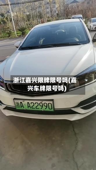浙江嘉兴限牌限号吗(嘉兴车牌限号吗)