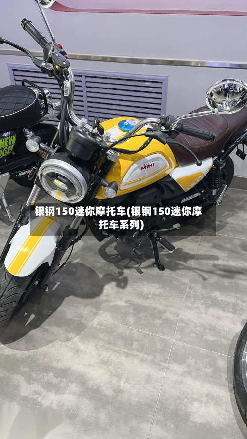 银钢150迷你摩托车(银钢150迷你摩托车系列)