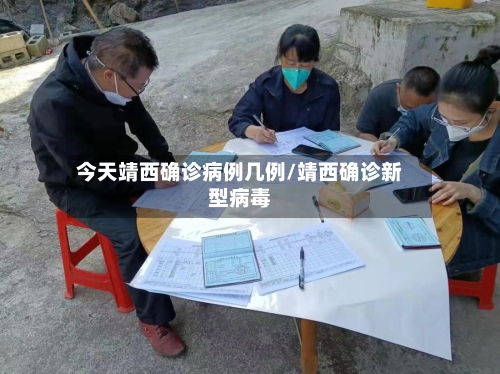 今天靖西确诊病例几例/靖西确诊新型病毒-第3张图片
