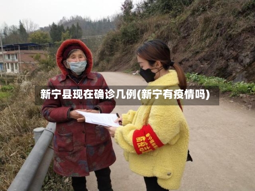 新宁县现在确诊几例(新宁有疫情吗)