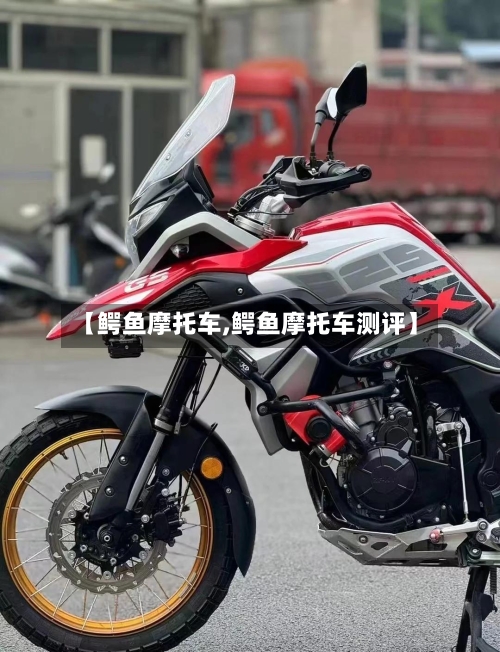 【鳄鱼摩托车,鳄鱼摩托车测评】-第2张图片