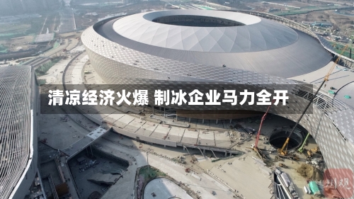 清凉经济火爆 制冰企业马力全开