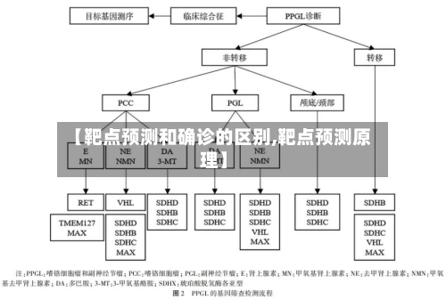 【靶点预测和确诊的区别,靶点预测原理】-第2张图片