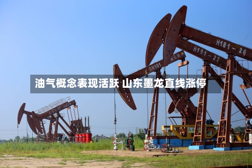 油气概念表现活跃 山东墨龙直线涨停-第2张图片
