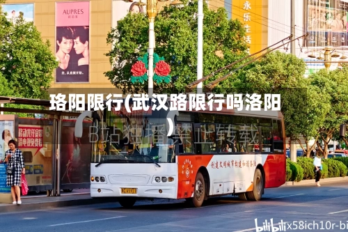 珞阳限行(武汉路限行吗洛阳)