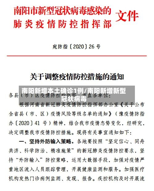 南阳新增本土确诊1例/南阳新增新型冠状病毒-第2张图片