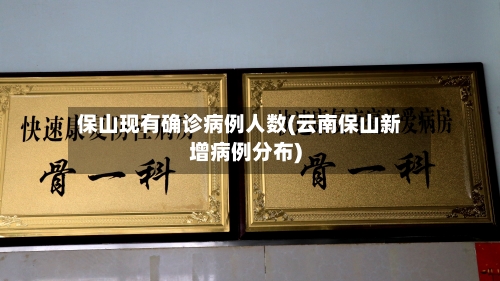 保山现有确诊病例人数(云南保山新增病例分布)