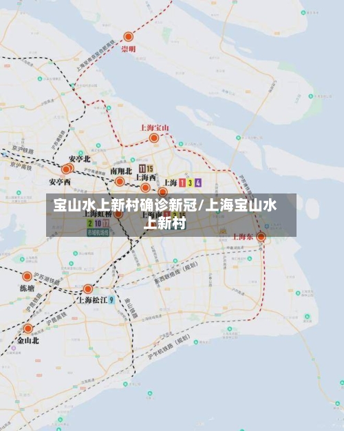 宝山水上新村确诊新冠/上海宝山水上新村-第3张图片