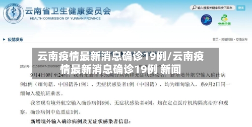 云南疫情最新消息确诊19例/云南疫情最新消息确诊19例 新闻-第2张图片