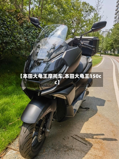 【本田大龟王摩托车,本田大龟王150cc】