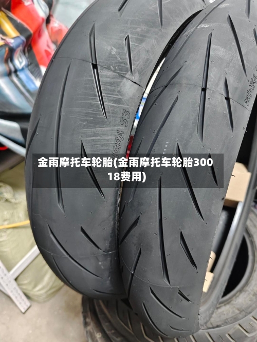 金雨摩托车轮胎(金雨摩托车轮胎30018费用)