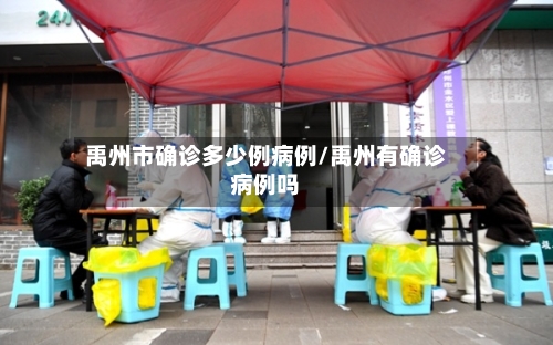 禹州市确诊多少例病例/禹州有确诊病例吗-第3张图片