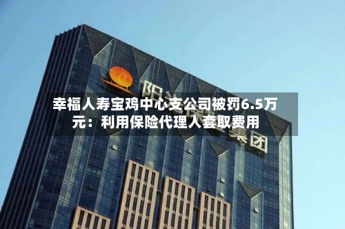 幸福人寿宝鸡中心支公司被罚6.5万元:利用保险代理人套取费用