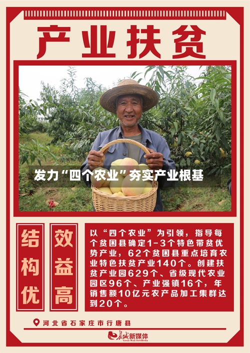 发力“四个农业	”夯实产业根基-第2张图片