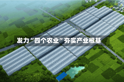 发力“四个农业”夯实产业根基-第3张图片