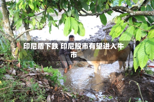 印尼盾下跌 印尼股市有望进入牛市
