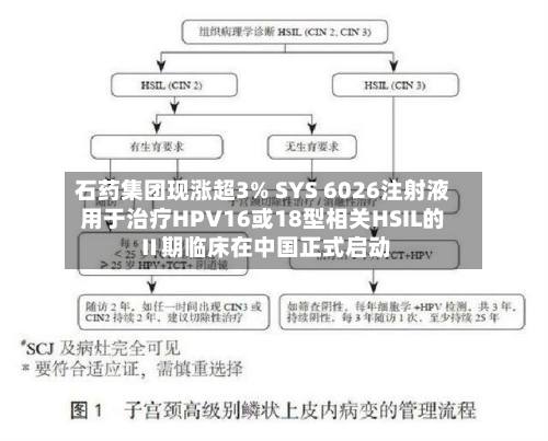 石药集团现涨超3% SYS 6026注射液用于治疗HPV16或18型相关HSIL的Ⅱ期临床在中国正式启动-第3张图片