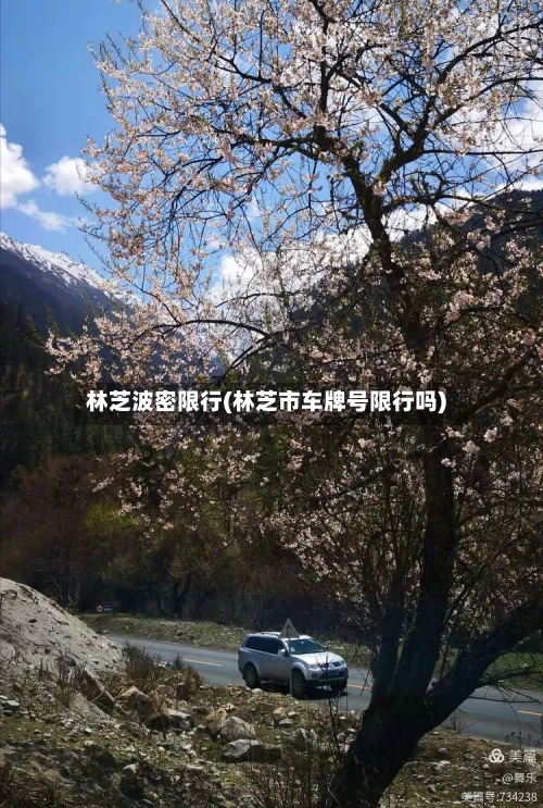 林芝波密限行(林芝市车牌号限行吗)-第2张图片