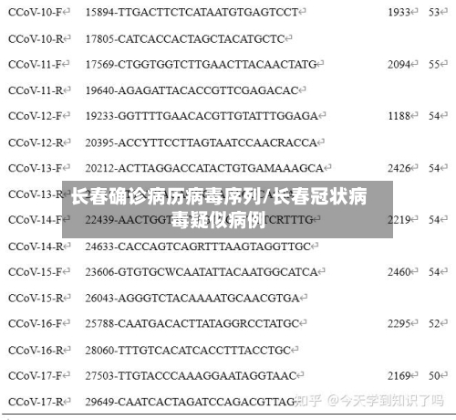 长春确诊病历病毒序列/长春冠状病毒疑似病例-第2张图片