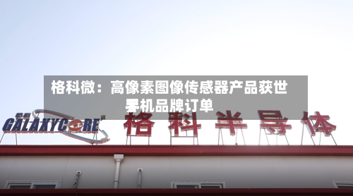 格科微:高像素图像传感器产品获世界
手机品牌订单-第2张图片