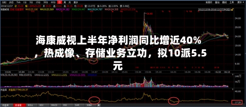 海康威视上半年净利润同比增近40%	，热成像、存储业务立功，拟10派5.5元-第2张图片