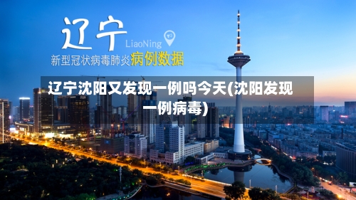 辽宁沈阳又发现一例吗今天(沈阳发现一例病毒)-第2张图片