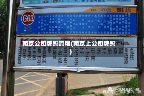 南京公司牌照流程(南京上公司牌照)-第3张图片